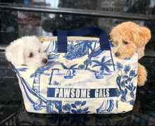 Load image into Gallery viewer, Pet Carrier - Travellers Hat Boutique